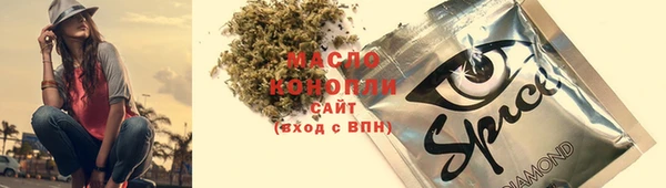 крисы Абаза