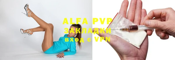 крисы Абаза