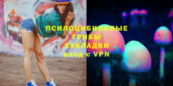 крисы Абаза