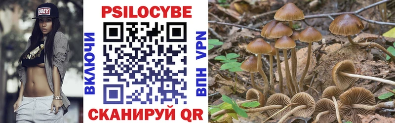 Галлюциногенные грибы MAGIC MUSHROOMS  Чишмы 